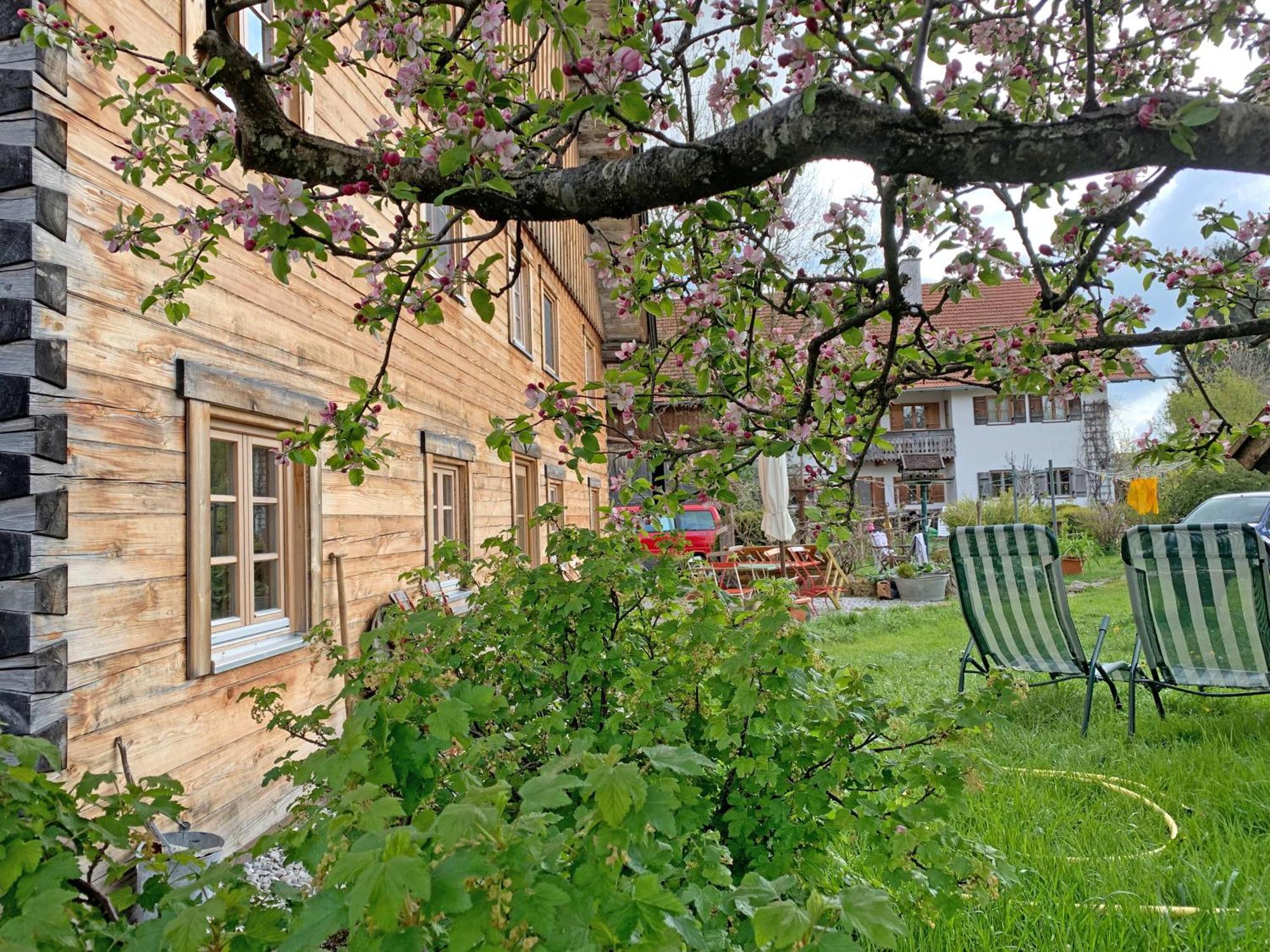 Appartement Biohof Neihausmo à Böbing Extérieur photo
